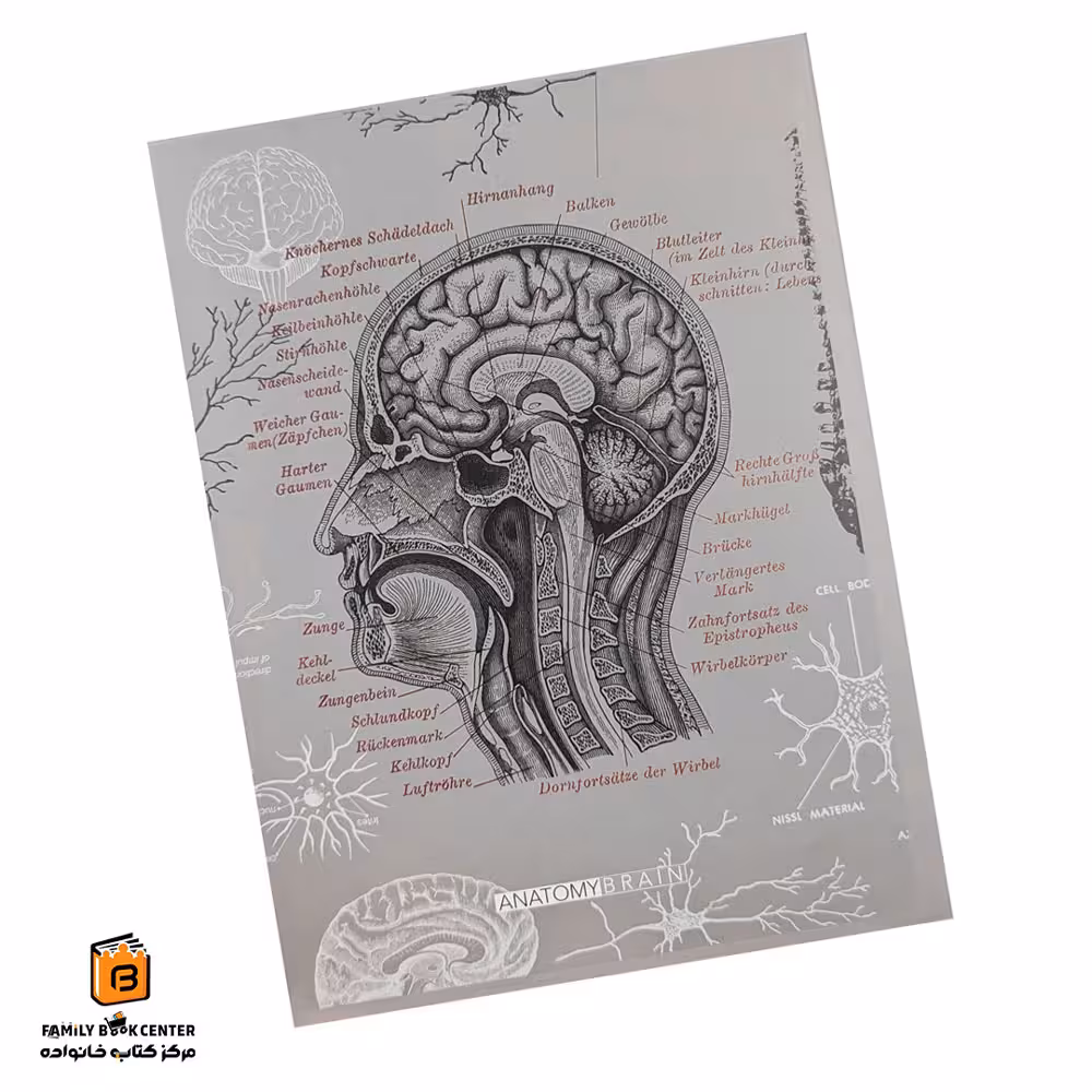 کلاسور 26 حلقه طرح مغز دات نوت (dotnote)