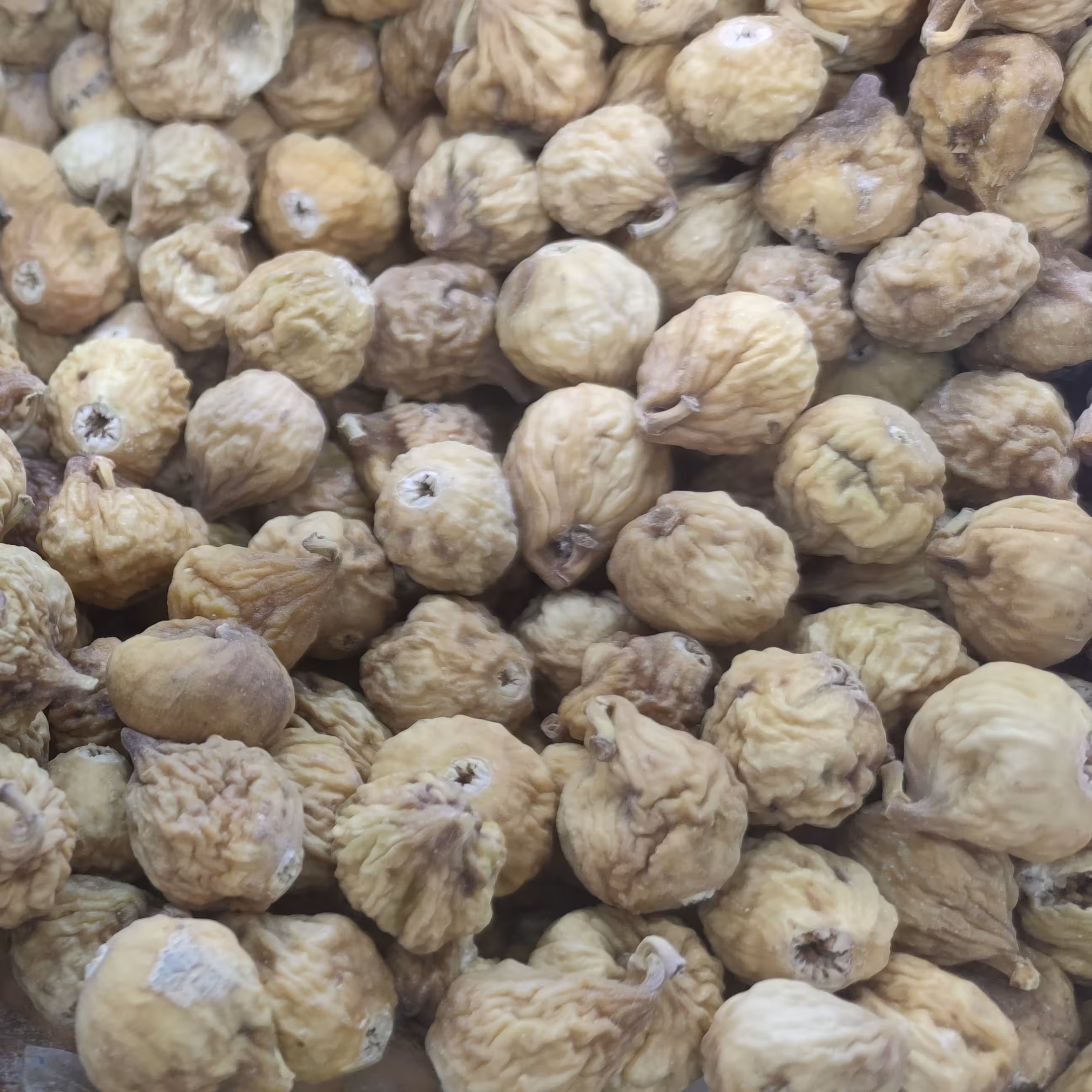 انجیر خشک استهبان 