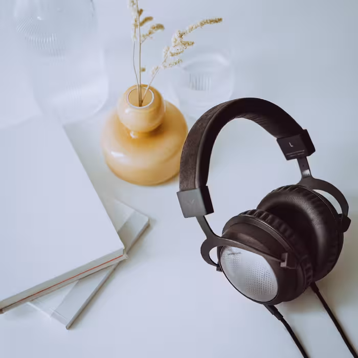 هدفون حرفه ای بیرداینامیک مدل T5