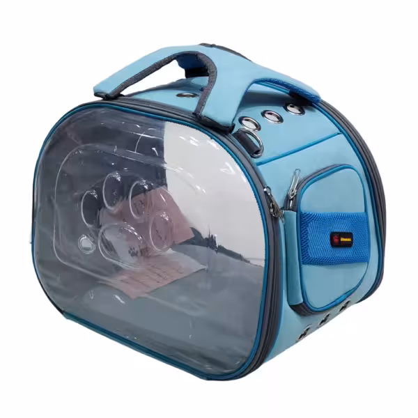 کیف دو طرف شفاف و تخت مدل Bright از برند دنیل