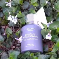 ادوپرفیوم مردانه مدل SMOKY MOUNTAINS لدورا فرگرنس
