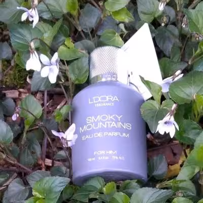 ادوپرفیوم مردانه مدل SMOKY MOUNTAINS لدورا فرگرنس