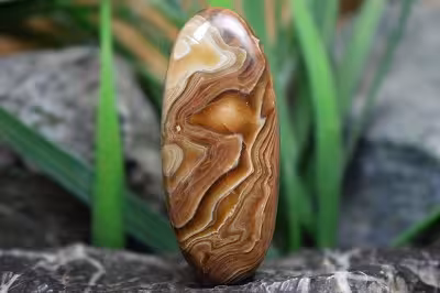 جاسپر مرجان چوبی