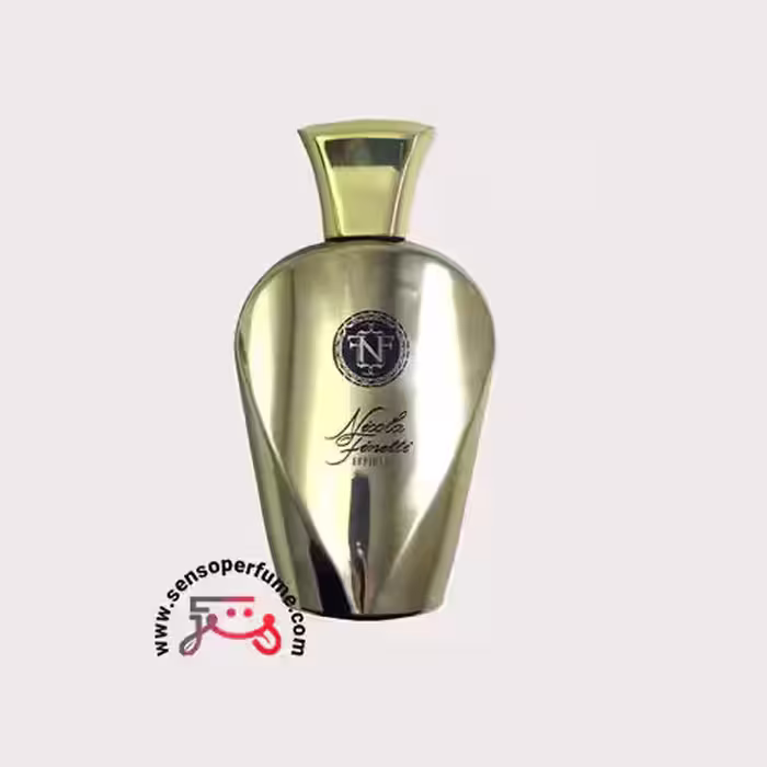 عطر ادکلن نیکولا فنیتی افیشنت | nicola finetti efficiency