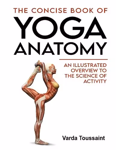 خرید و دانلود نسخه کامل کتاب The Concise Book of Yoga Anatomy An Illustrated Overview to the Science of Activity
