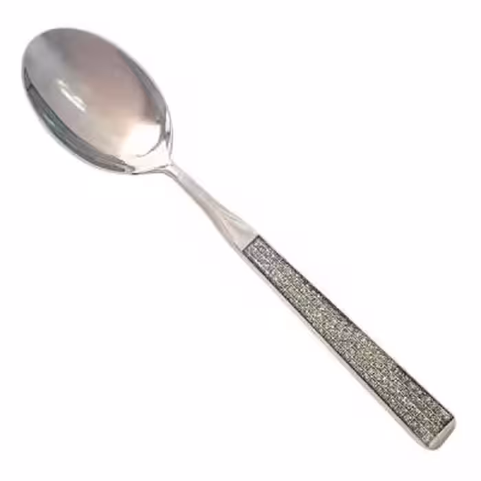 قاشق آجیل نگین دار2