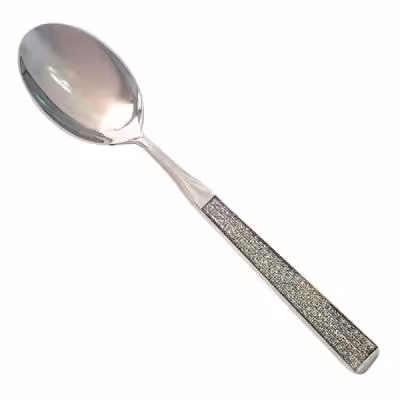 قاشق آجیل نگین دار2