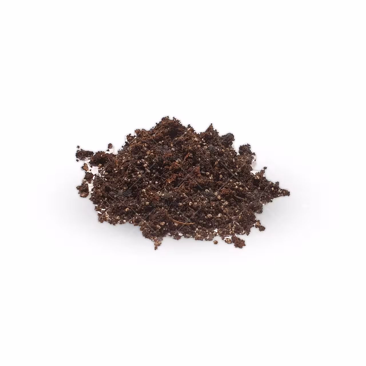 خاک مخصوص سانسوریا رنگی