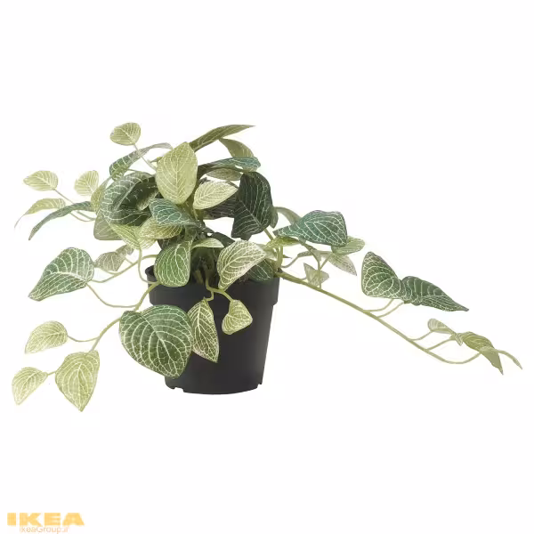 گیاه گلدانی مصنوعی مدل FEJKA | برند ایکیا | ارسال 15 الی 20 روز کاری