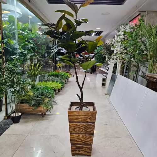 درختچه فیکوس مصنوعی