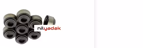 لاستیک ساق سوپاپ سانگ یانگ تیوولی