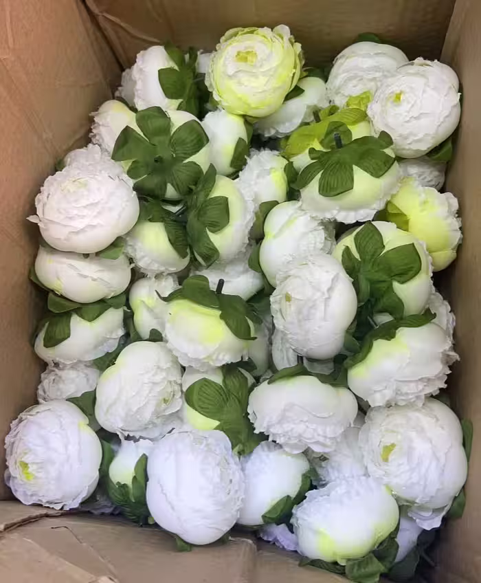 سرگل پیونی بزرگ رنگ(سفید نباتی) 10عددی