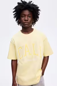 تی شرت مردانه پیراهن چاپی و پنبه ای H&M