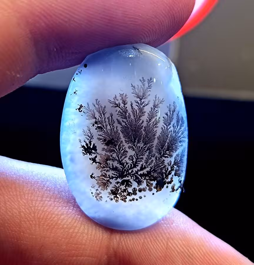 نگین شجر طبیعی کد 12087