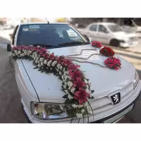 ماشین عروس طرح لیام