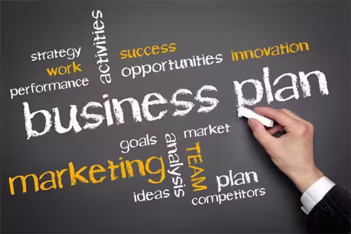 دانلود طرح توجیهی بررسی Blutis و ویژگی‌های آن