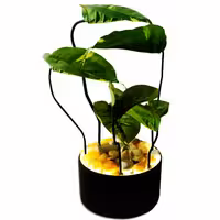 آب نما مدل پتوس 6 برگ