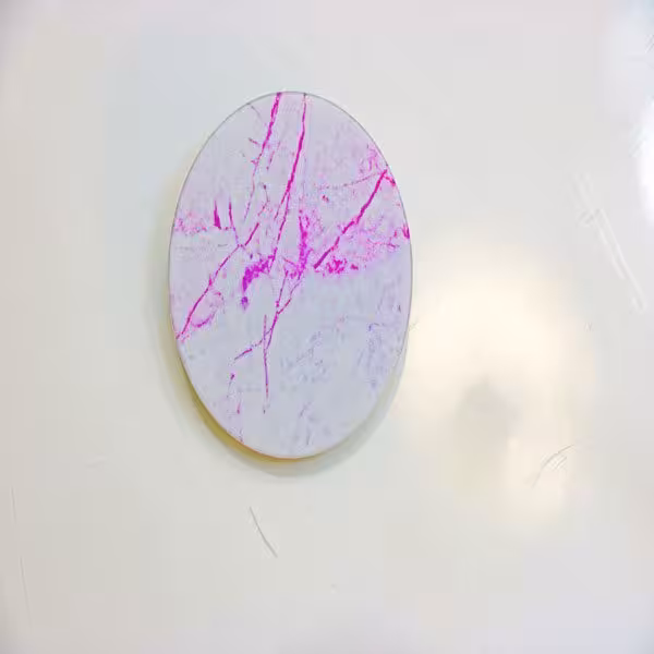 پاپ سوکت مرمر صورتی Pink Stone PopSocket