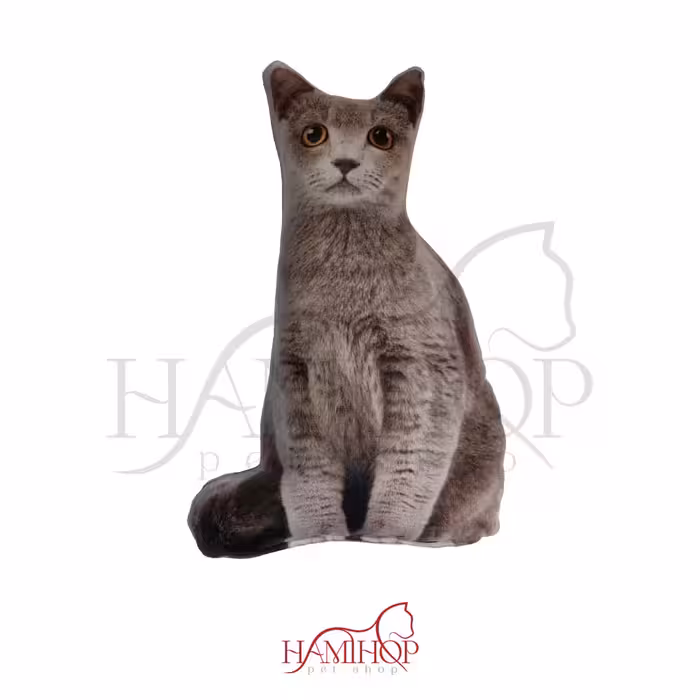 کوسن مدل فانتزی طرح گربه