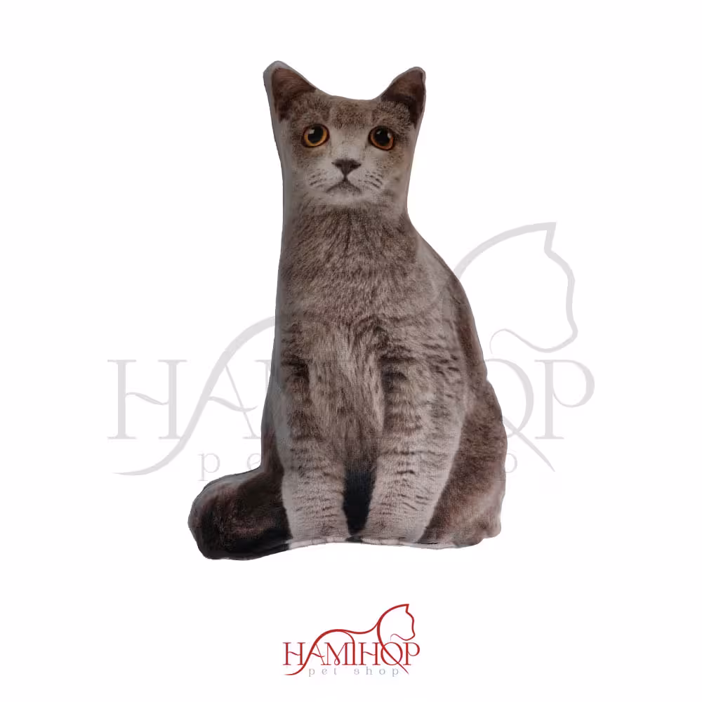 کوسن مدل فانتزی طرح گربه