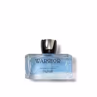 BayRock Warrior EDP 100 ml - ادوپرفیوم مردانه بایراک واریور حجم 100 میلی‌لیتر - نگین عطر