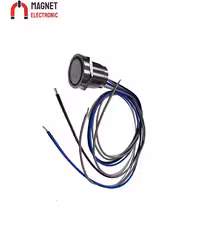 پیزو سوئیچ PZ19F-10E کد 11375