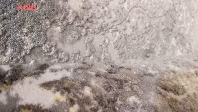 فرش ماشینی زمرد مشهد طرح پتینه کد TA113 زمینه طوسی