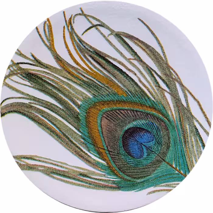 بشقاب دیوارکوب سفالی مدل پرطاووس مجموعه 2 عددی