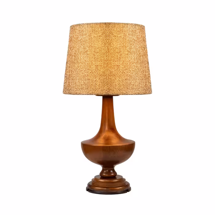 آباژور ملیسا دارکار