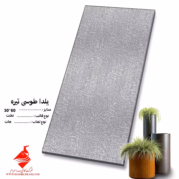 کاشی یلدا  طوسی تیره 60*30 صدرا سرام