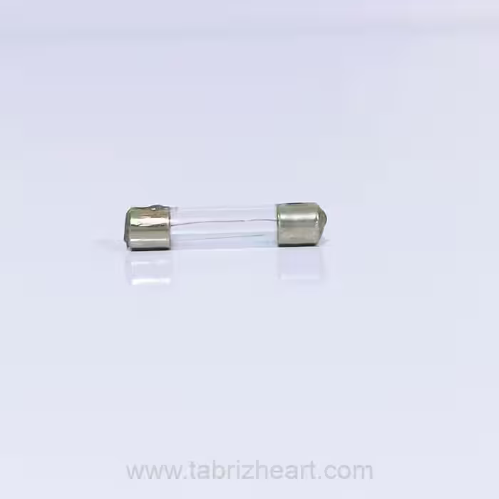فیوز شیشه‌ای F1A250v