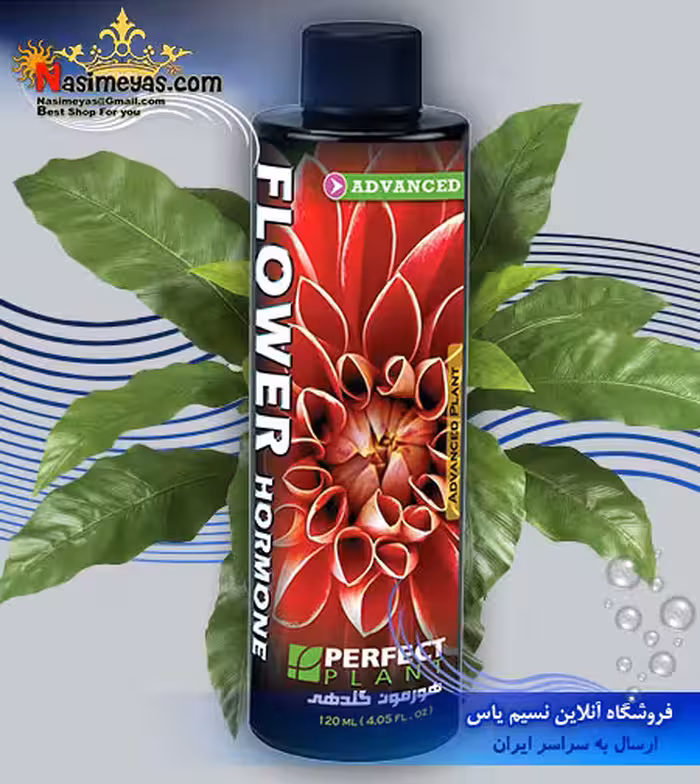 هورمون گلدهی گیاهان آپارتمانی و گلخانه ای پرفکت پلنت