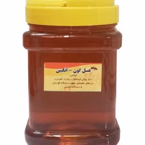 عسل ارگانیک کوهی طبیعی (1 کیلو) کیفیت اعلا محصول دامنه های ارتفاعات شمال خراسان