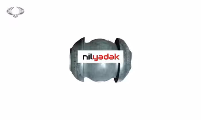 بوش طبق کوچک جلو چپ سانگ یانگ تیوولی