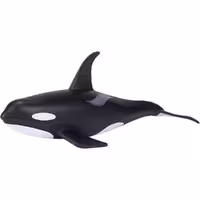 فیگور نهنگ نر موجو MOJO Male Orca 387114