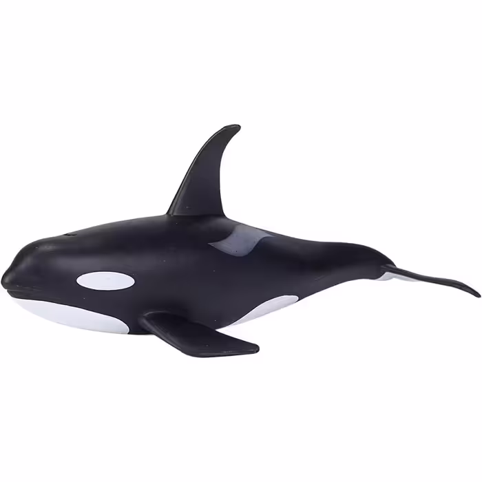 فیگور نهنگ نر موجو MOJO Male Orca 387114