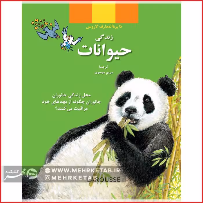 حیوانات