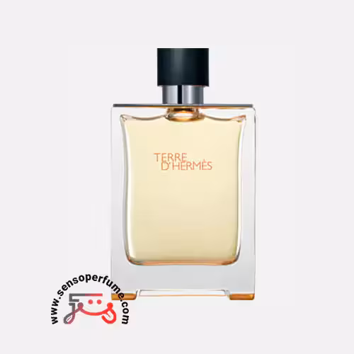 عطر ادکلن هرمس تق هرمس ادو‌تویلت | hermes terre d'hermes eau de toilette 100ml