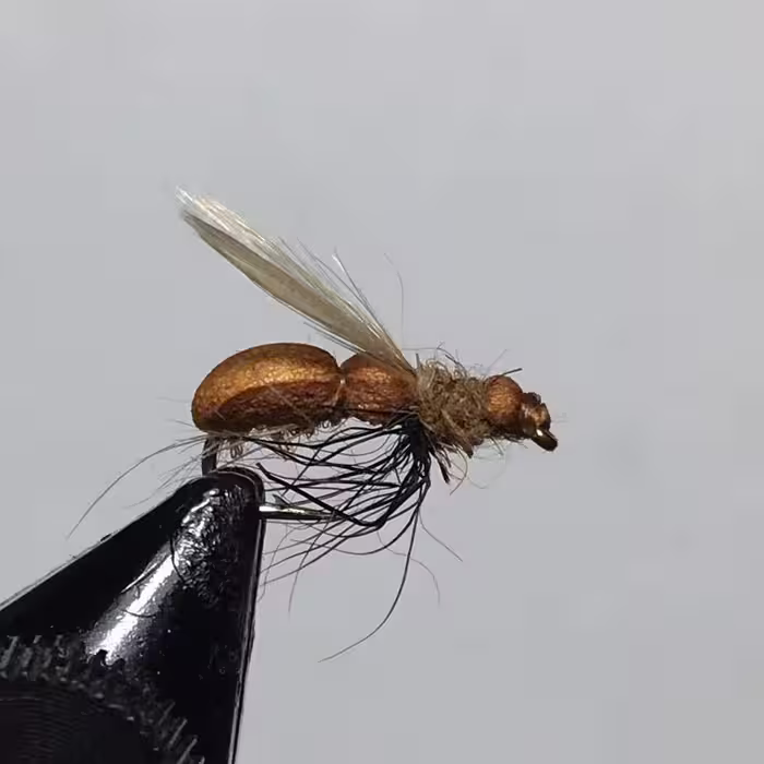 پشه ماهیگیری فلای مورچه بالدار(قهوه اي) Winged Ants (بسته 5 عددی)
