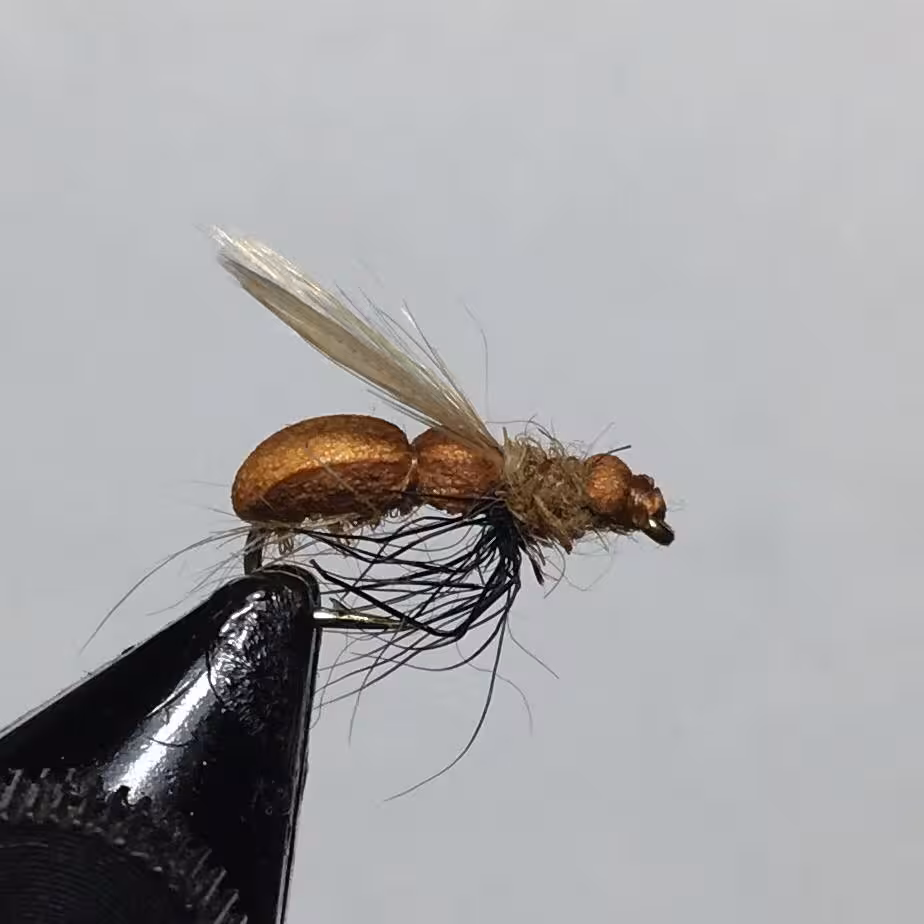 پشه ماهیگیری فلای مورچه بالدار(قهوه اي) Winged Ants (بسته 5 عددی)
