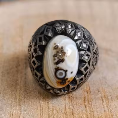 انگشتر باباقوری لامه زایشی