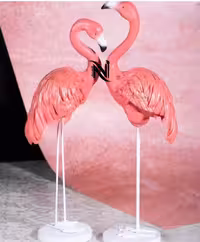 فلامینگو کنار سالنی کدکالا 668