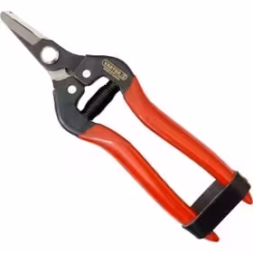 قیچی میوه چین واستر مدل VG010S