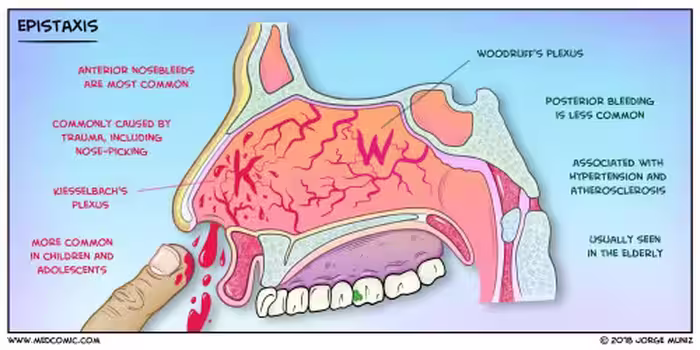 خرید و دانلود نسخه کامل کتاب Medcomic The Most Entertaining Way to Study Medicine