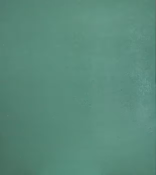 بک دراپ چوبی تکرنگ کد 234 (در 3 سایز)