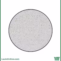 ترافل رشته ای سفید