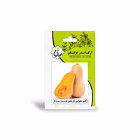 بذر کدو حلوایی نارنجی آرکا بذر ایرانیان