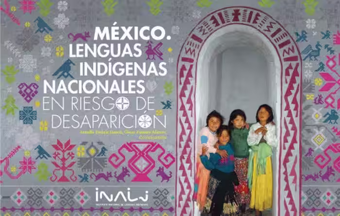 خرید و دانلود نسخه کامل کتاب México. Lenguas indígenas nacionales en riesgo de desaparición: Variantes lingüísticas por grado de riesgo