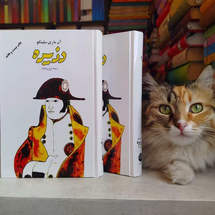 کتاب دزیره ، دو جلدی ، اثر آن ماری سلینکو