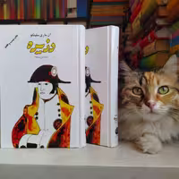 کتاب دزیره ، دو جلدی ، اثر آن ماری سلینکو